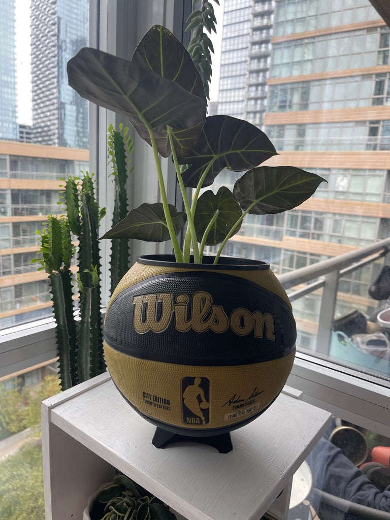 Large Basketball Planter (Toronto Raptors Gold)