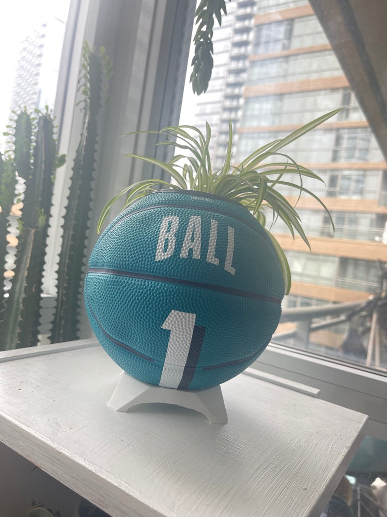 Mini Basketball Planter (Lamelo Ball)