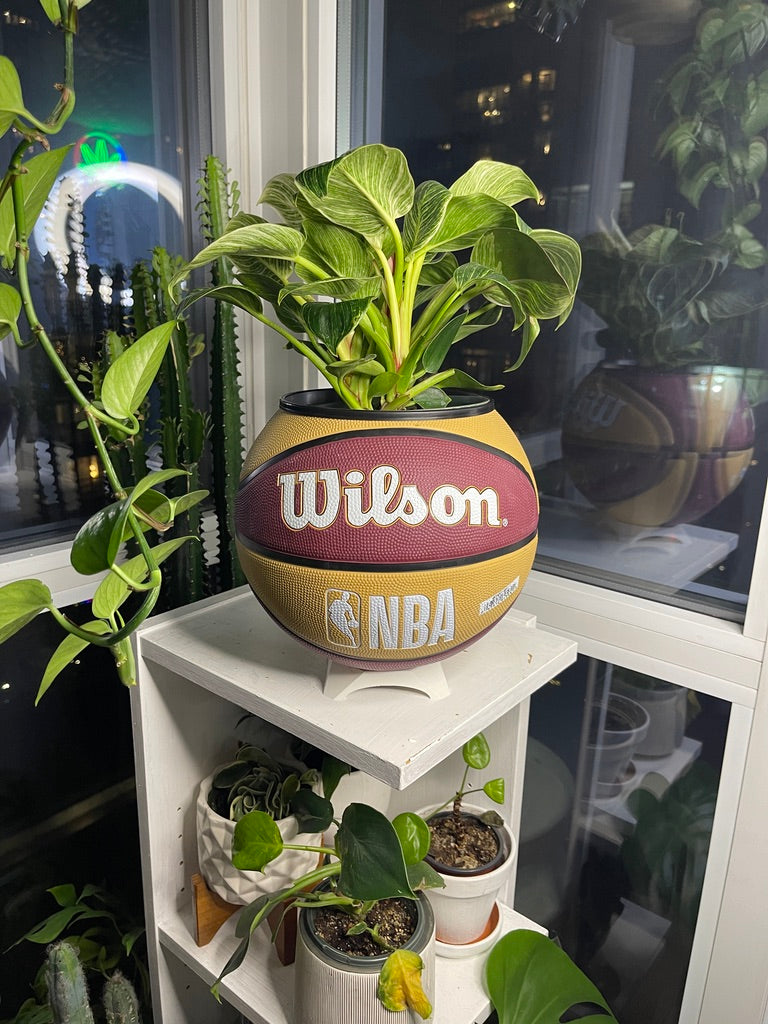 Large Basketball Planter (Cleveland Cavaliers)