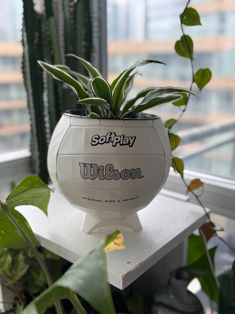 Large Volleyball Planter (Original)