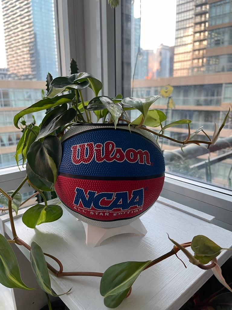 Mini Basketball Planter (NCAA Red/White/Blue)