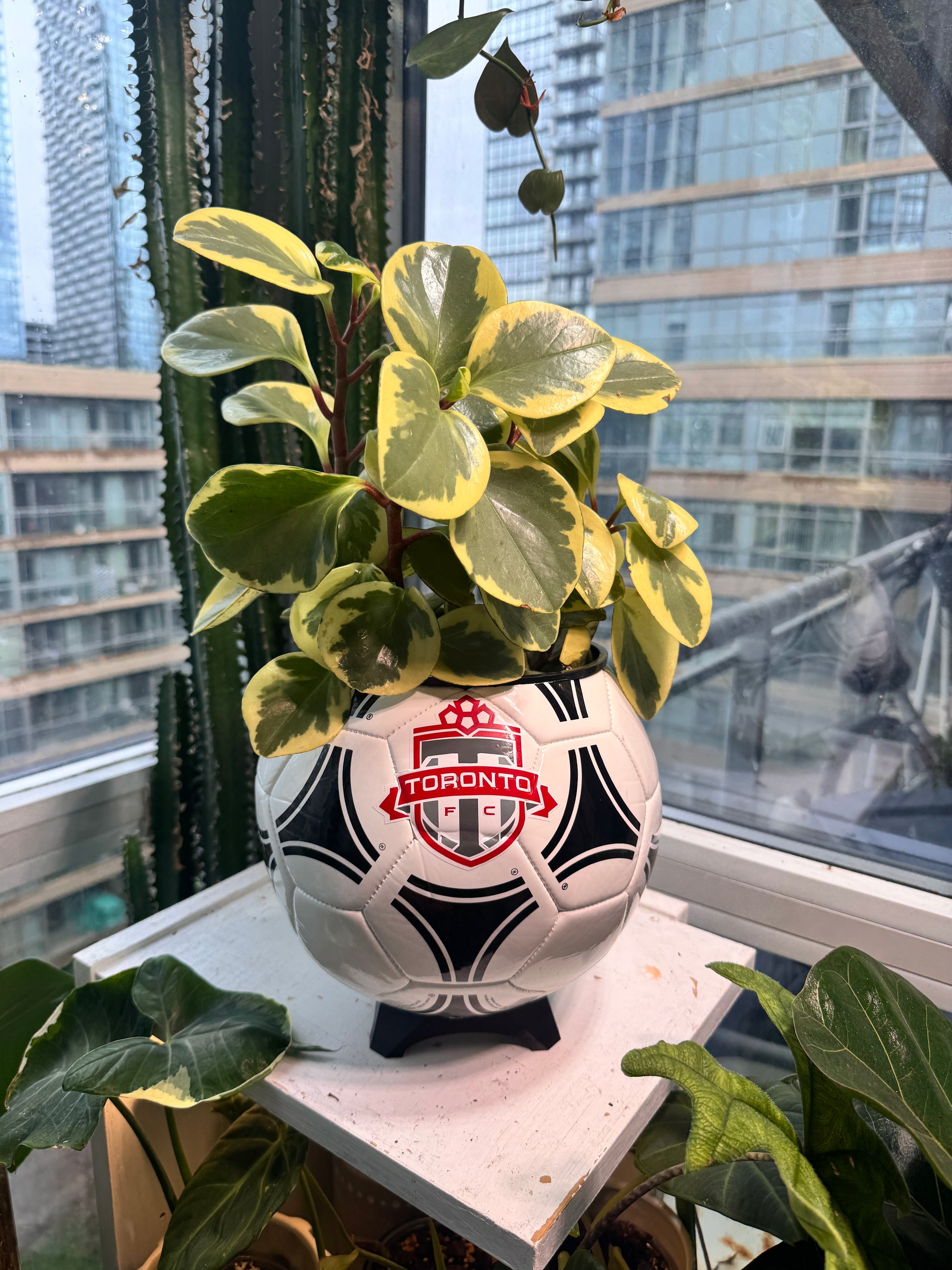 Large Soccer Ball Planter (Toronto FC)