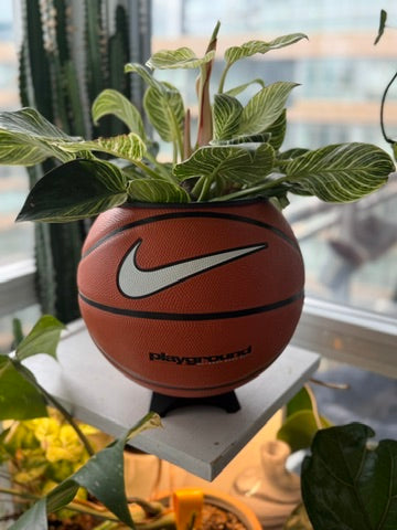 Nike Large Basketball Planter (OG White Playground)