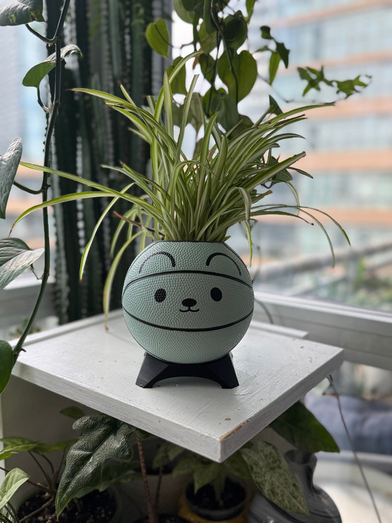 Ultra-Mini Basketball Planter (Mouse)