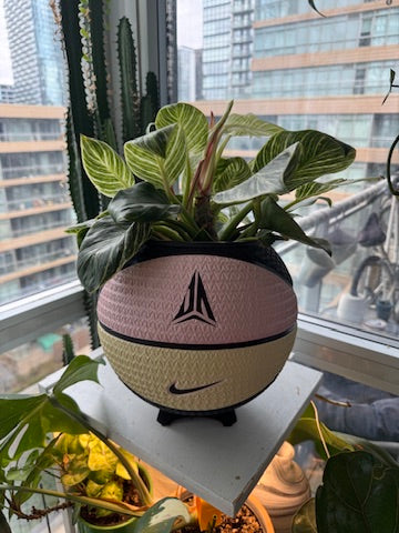 Nike Large Basketball Planter (Ja Morant Twelve Pink)