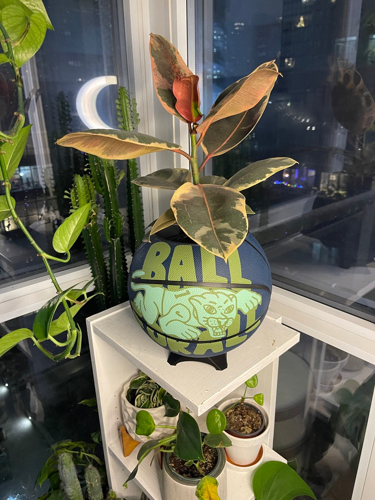 Nike Large Basketball Planter (Ball For All Blue)