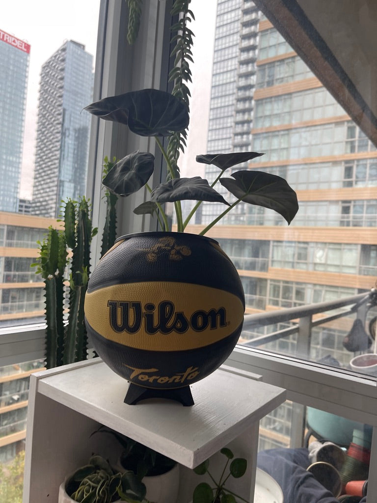 Large Basketball Planter (Toronto Raptors Gold Mascot)