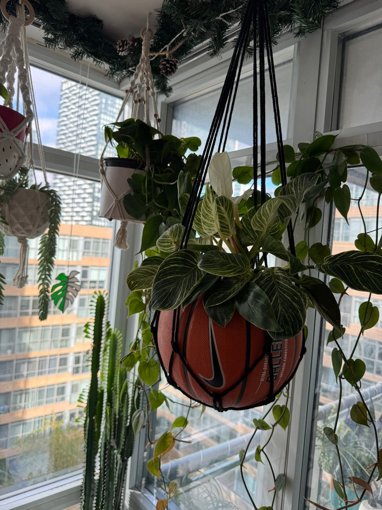 Nike Large Basketball Hanging Planter (Black Macrame - Original Reversed)