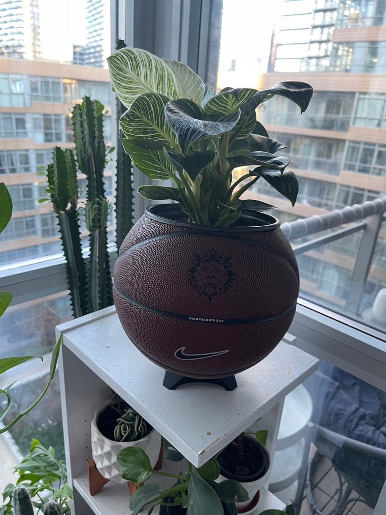 Nike Large Basketball Planter (LeBron Brown)