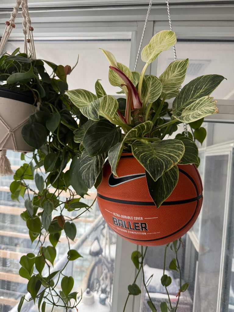 Nike Large Basketball Hanging Planter (Baller - Silver Chain)