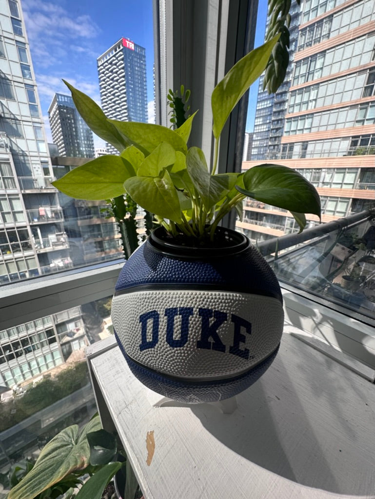 Mini Basketball Planter (Duke)