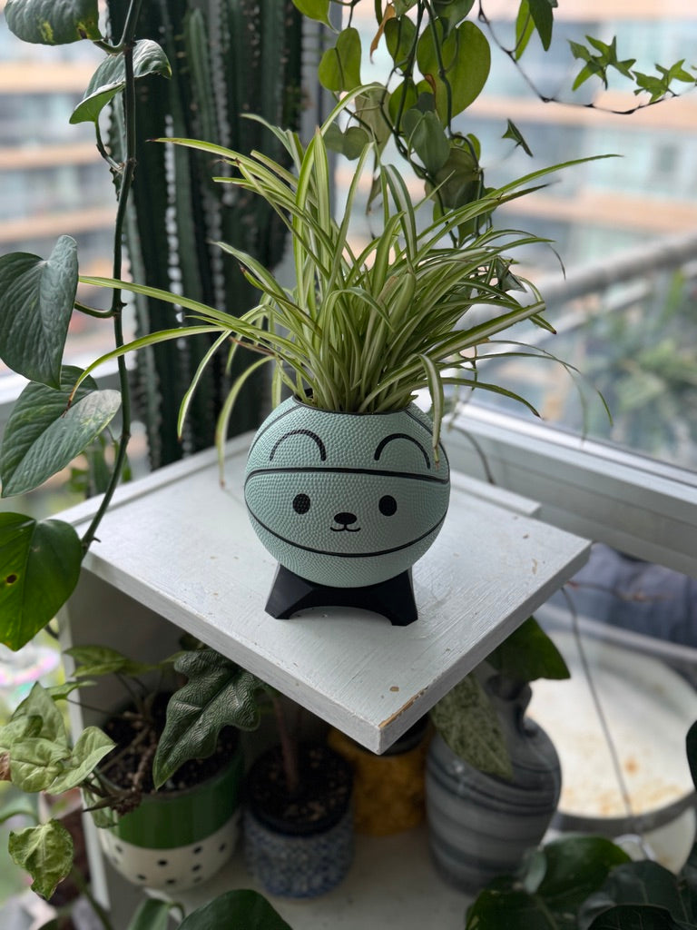Ultra-Mini Basketball Planter (Mouse)
