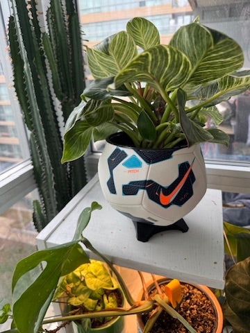 Nike Large Soccer Ball Planter (Blue Pitch)
