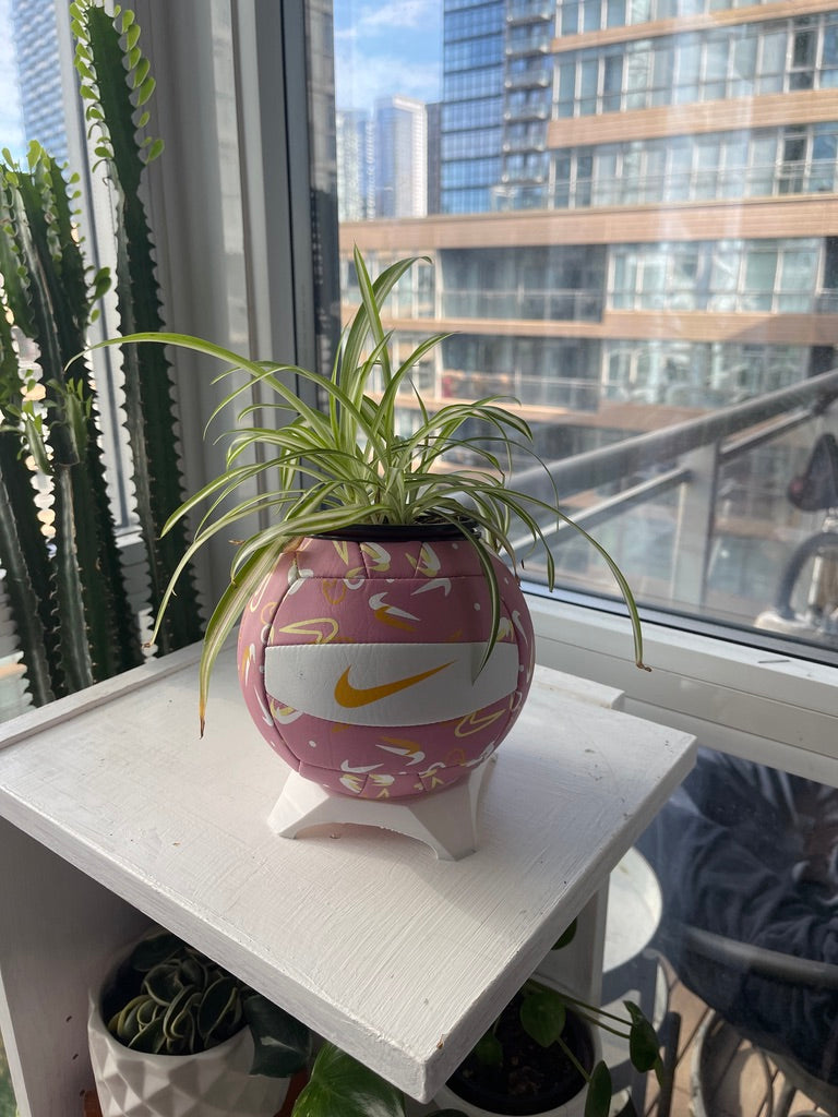 Nike Mini Volleyball Planter (Pink Swoosh)