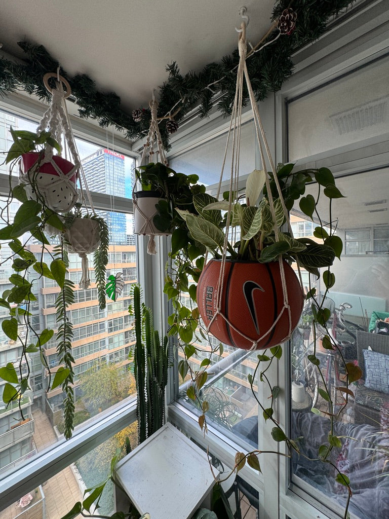 Nike Large Basketball Hanging Planter (White Macrame - Original Reversed)