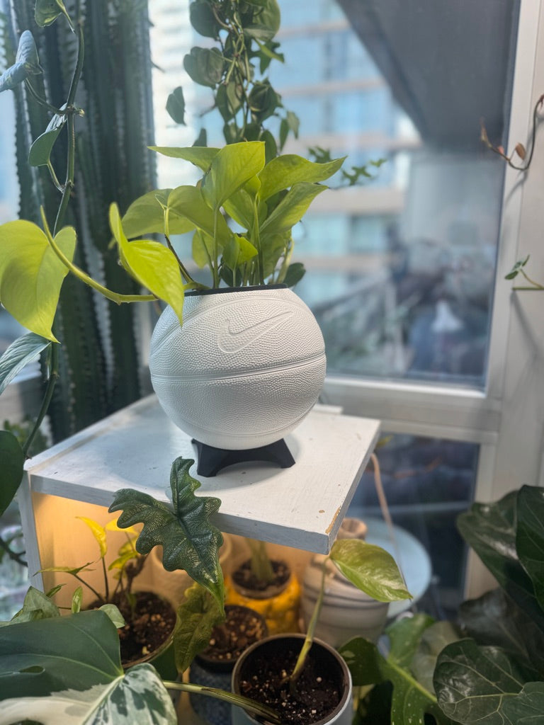 Nike Mini Basketball Planter (White)