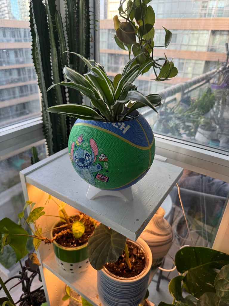 Mini Basketball Planter (Stitch)