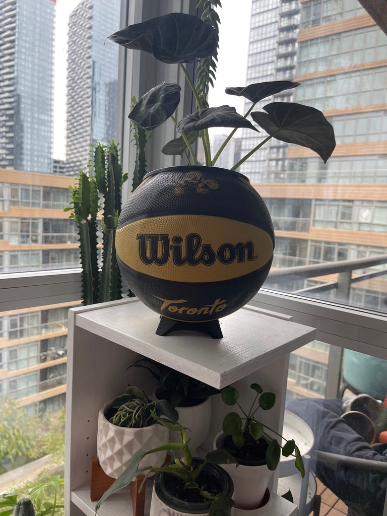 Large Basketball Planter (Toronto Raptors Gold Mascot)