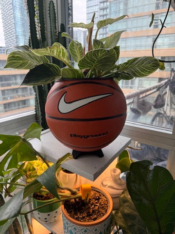 Nike Large Basketball Planter (OG White Playground)
