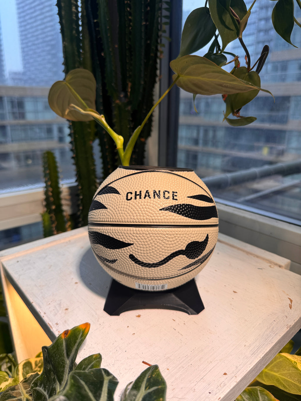 Ultra-Mini Basketball Planter (Zebra)
