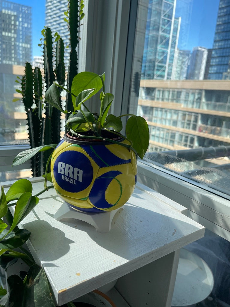 Mini Soccer Ball Planter (Brazil)