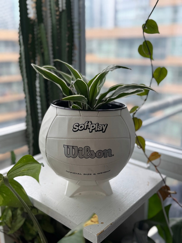 Large Volleyball Planter (Original)