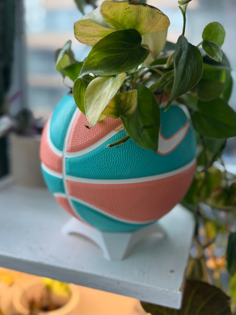 Nike Mini Basketball Planter (Malibu Beach)