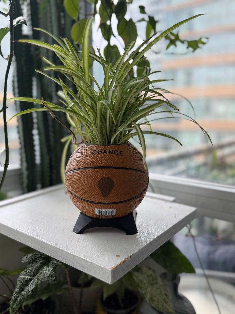 Ultra-Mini Basketball Planter (Reindeer)