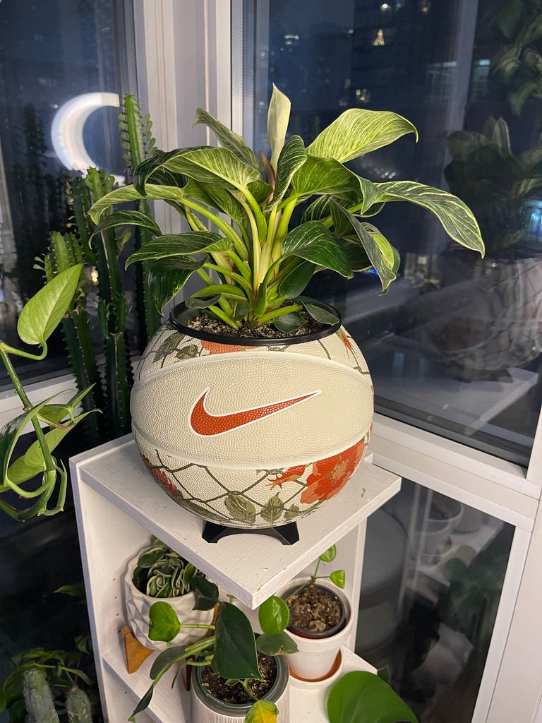 Nike Large Basketball Planter (Rose Floral)