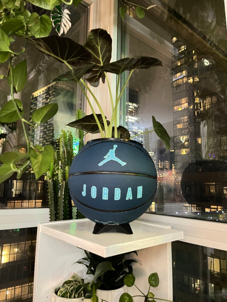 Nike Jordan Large Basketball Planter (Blue)