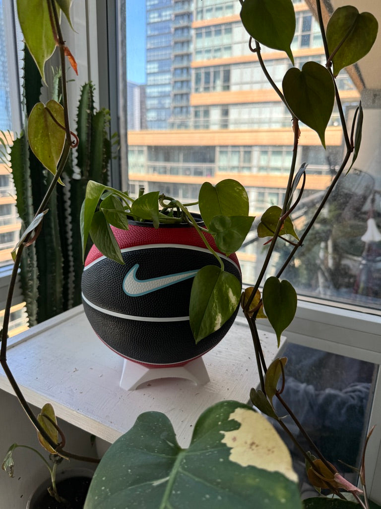 Nike Mini Basketball Planter (Blue Cherry)