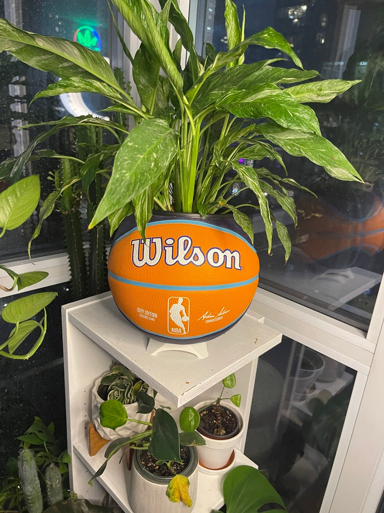 Large Basketball Planter (Phoenix Suns)