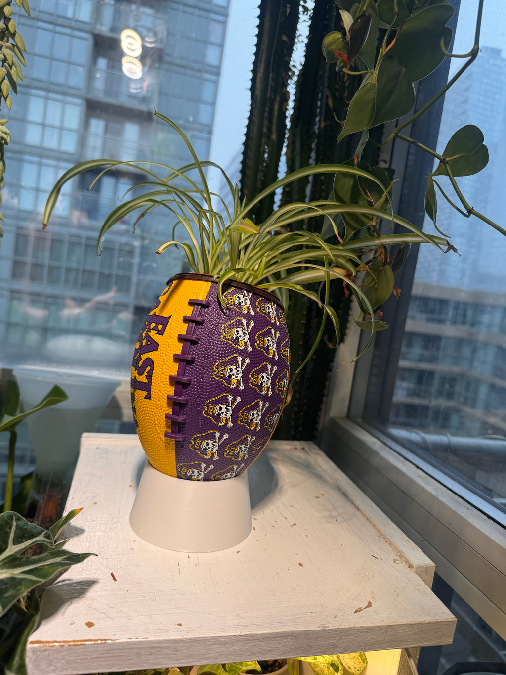Mini Football Planter (East Carolina University Pirates)