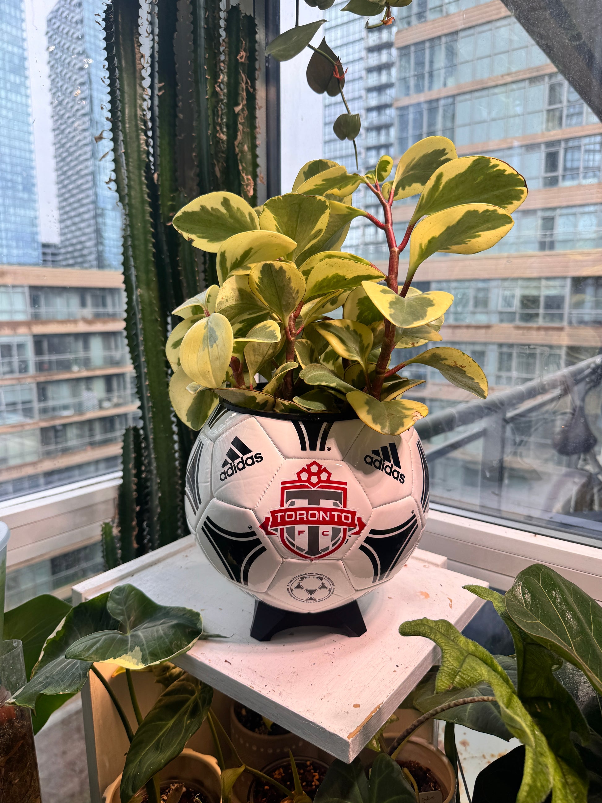 Large Soccer Ball Planter (Toronto FC)
