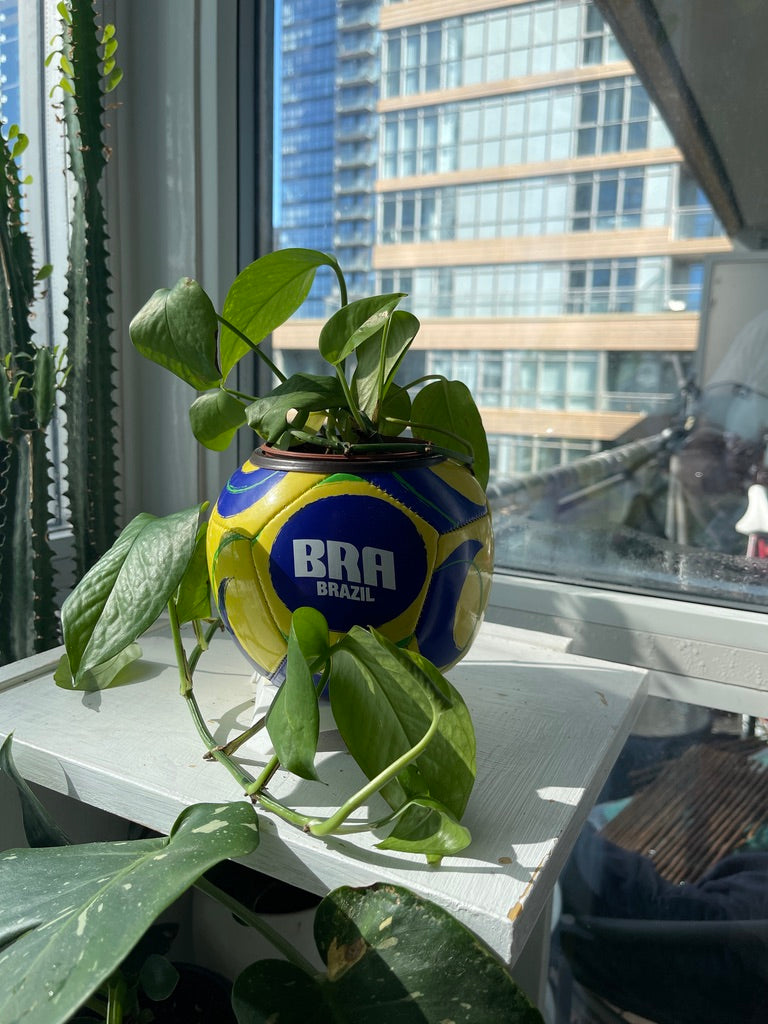 Mini Soccer Ball Planter (Brazil)