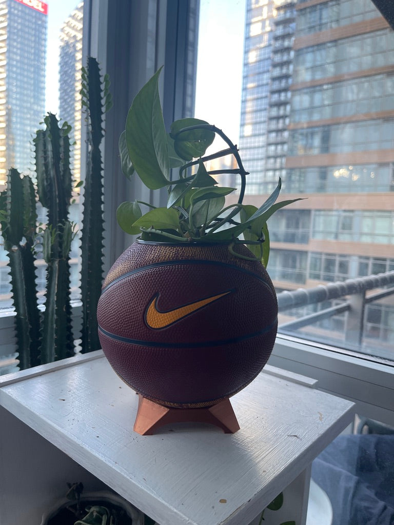 Nike Mini Basketball Planter (Lebron James)