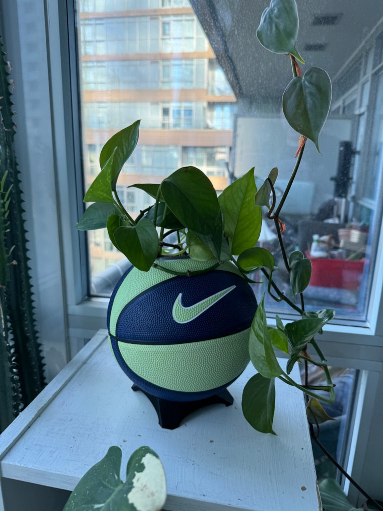 Nike Mini Basketball Planter (Blueberry Lime)