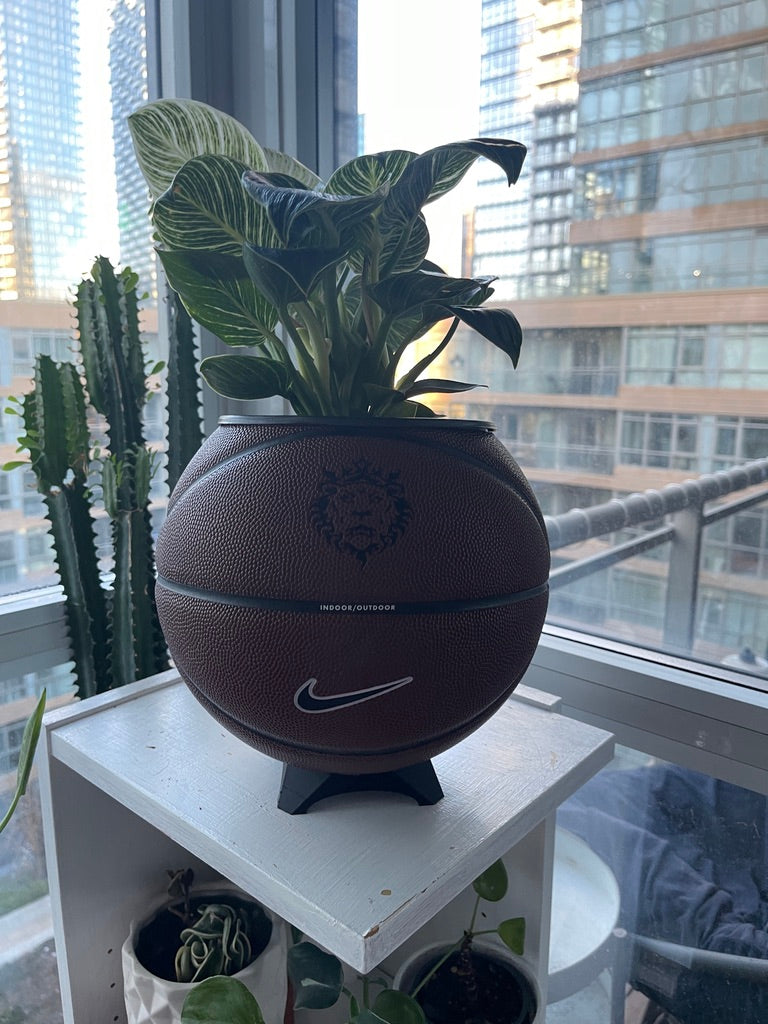Nike Large Basketball Planter (LeBron Brown)