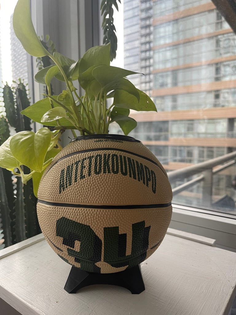 Mini Basketball Planter (Giannis Antetokounmpo)