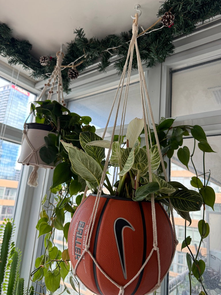 Nike Large Basketball Hanging Planter (White Macrame - Original Reversed)