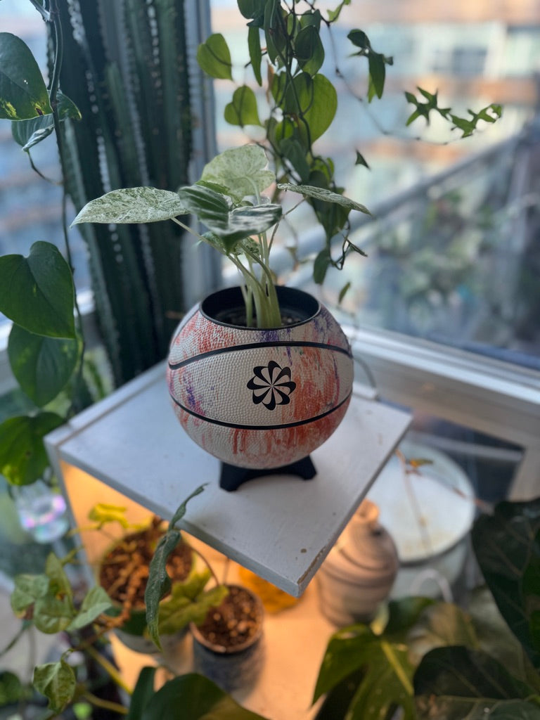 Nike Mini Basketball Planter (Pastel Graffiti)