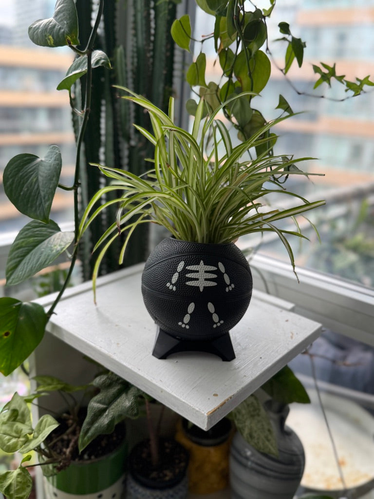 Ultra-Mini Basketball Planter (Skeleton)