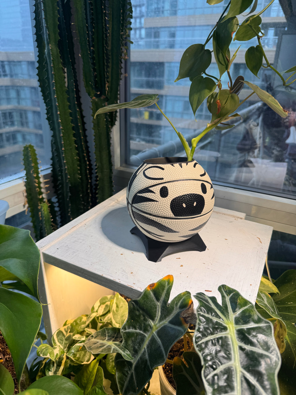 Ultra-Mini Basketball Planter (Zebra)