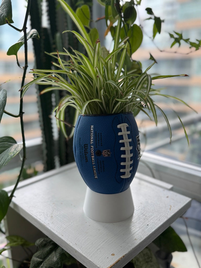 Mini Football Planter (The NFL OG - Blue)