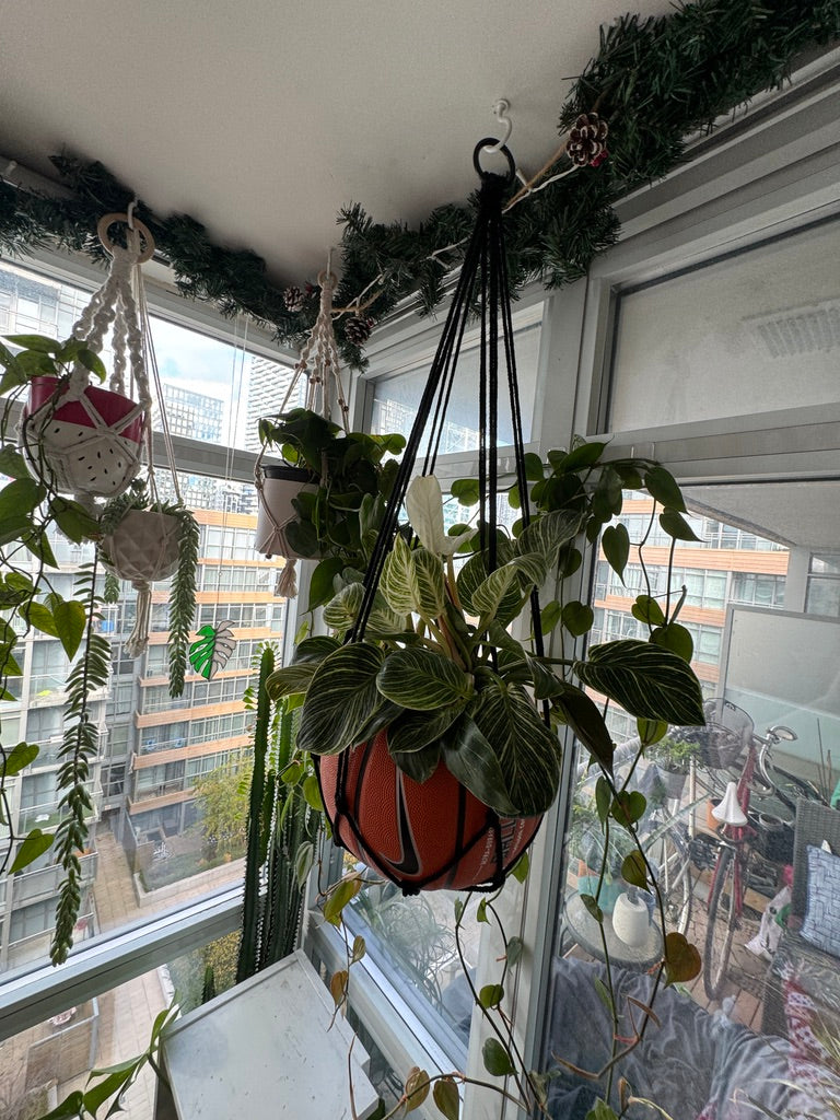 Nike Large Basketball Hanging Planter (Black Macrame - Original Reversed)