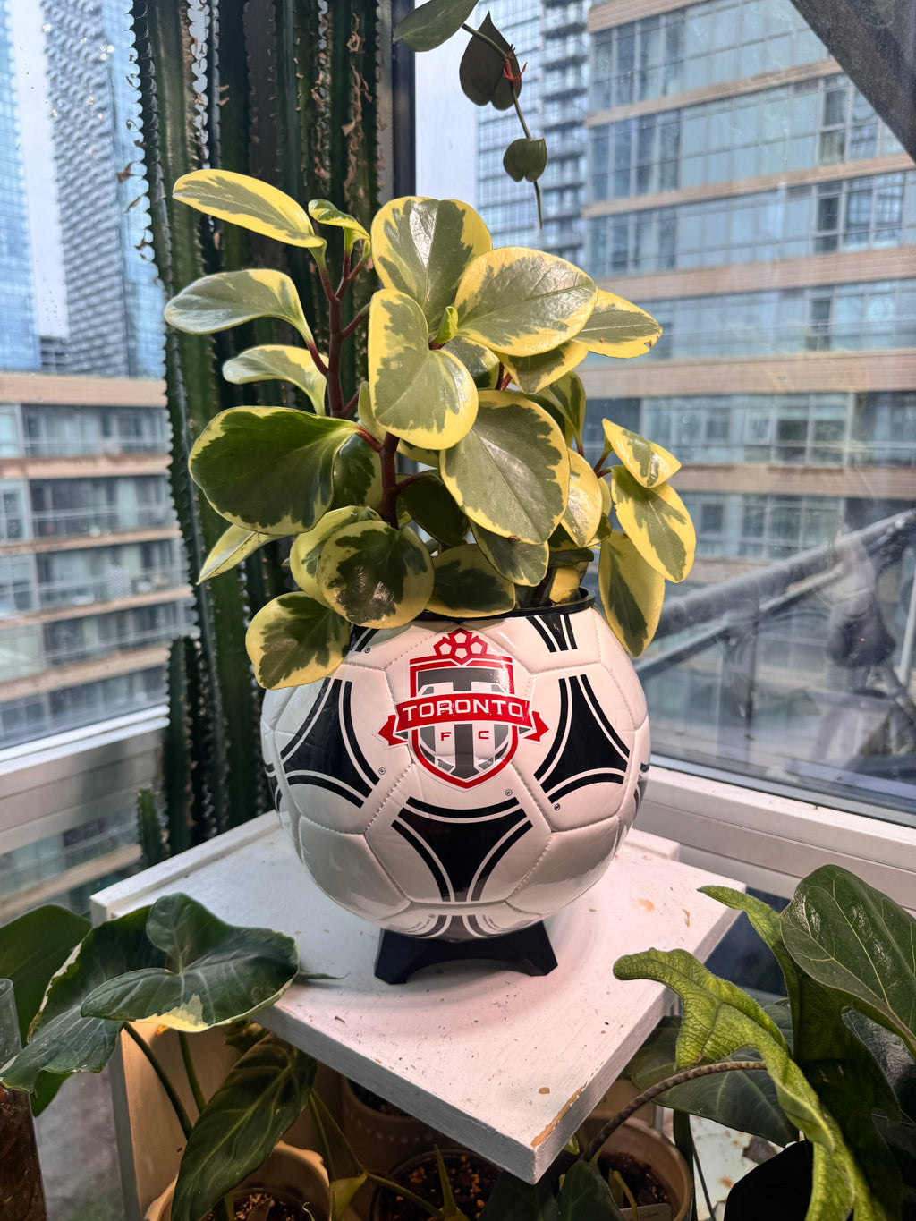 Large Soccer Ball Planter (Toronto FC)