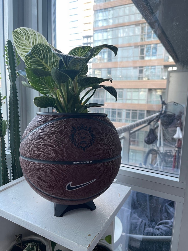 Nike Large Basketball Planter (LeBron Brown)