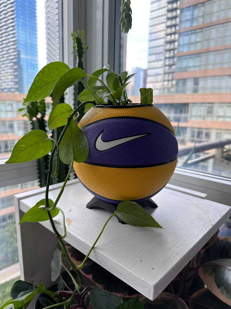 Nike Mini Basketball Planter (Purple & Yellow)