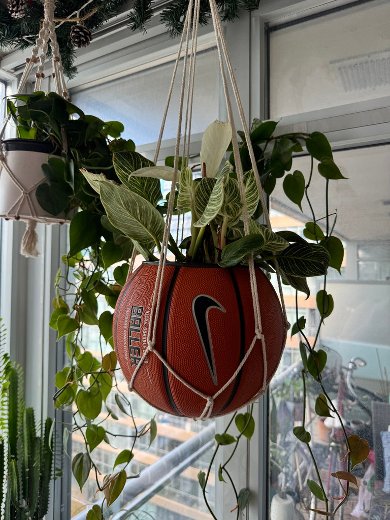Nike Large Basketball Hanging Planter (White Macrame - Original Reversed)