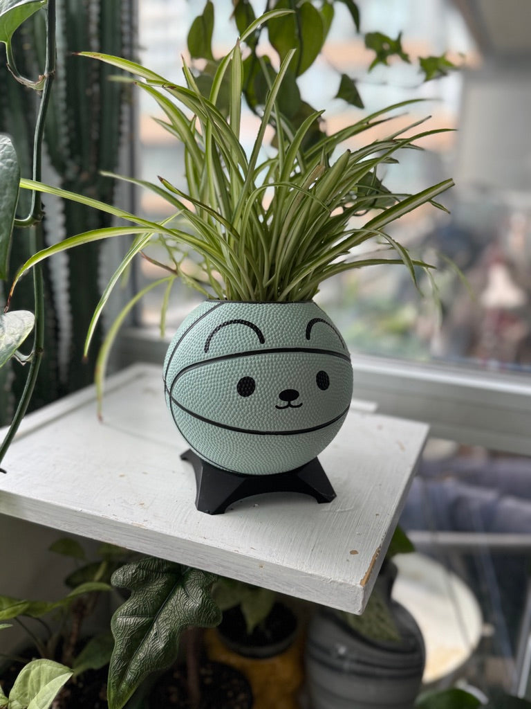 Ultra-Mini Basketball Planter (Mouse)